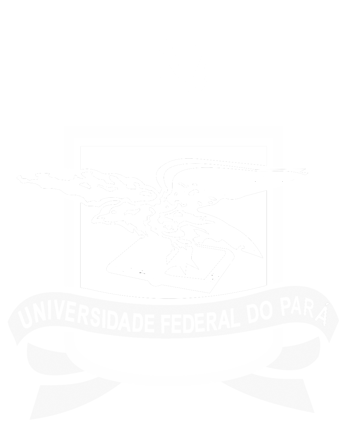Entidade de Realização